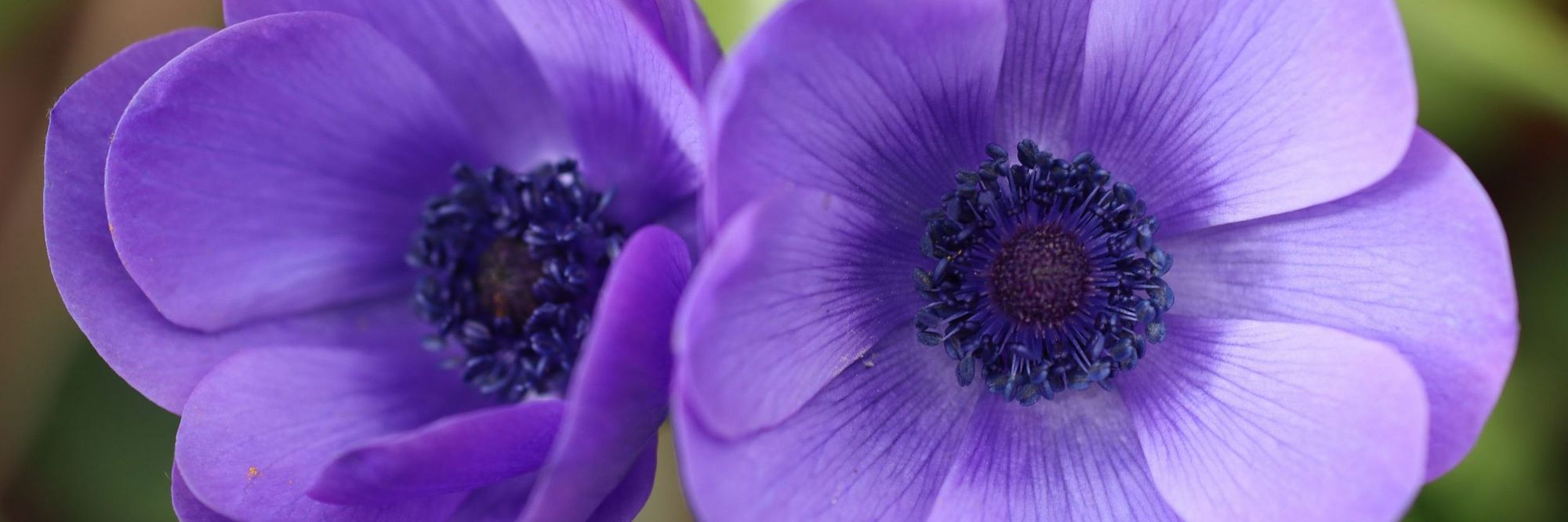 Kursanmeldung für Block 2 nach Ostern gestartet